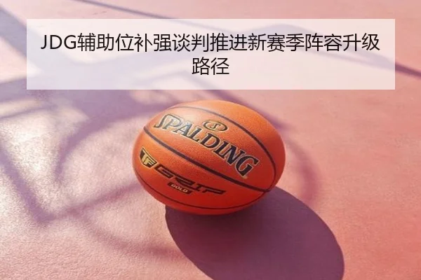 JDG辅助位补强谈判推进新赛季阵容升级路径